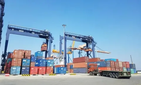 Viconship muốn phát hành 500 tỷ đồng trái phiếu