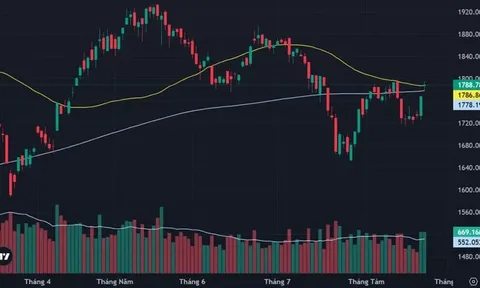 VN-Index tăng hơn 20 điểm phiên 24/8