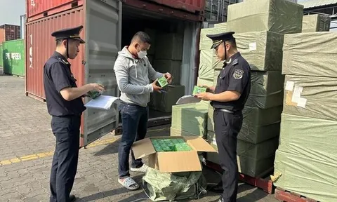 Sàn thương mại điện tử phải kết nối dữ liệu với cơ quan hải quan
