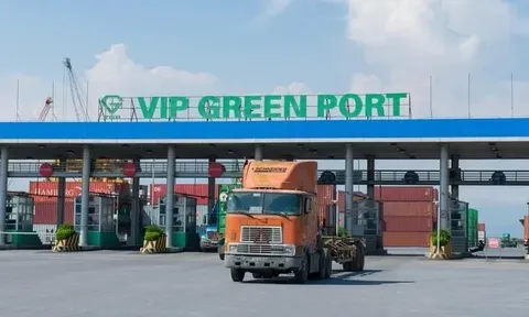 Cảng Xanh Vip muốn đầu tư thứ cấp 200 tỷ đồng trái phiếu với lãi suất 11,5%/năm