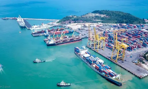 Cảng Đà Nẵng (CDN) đề xuất đầu tư cảng cạn Hòa Nhơn, nợ phải trả vượt 800 tỷ đồng sau nửa đầu năm