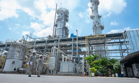 PVFCCo – Phú Mỹ vào Top 50 Doanh nghiệp Dẫn đầu ESG Việt Nam 2026