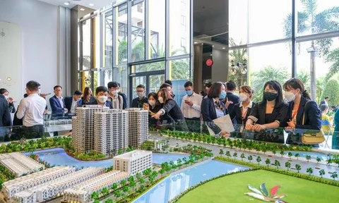 Môi giới bất động sản không có chứng chỉ có thể bị phạt đến 60 triệu đồng