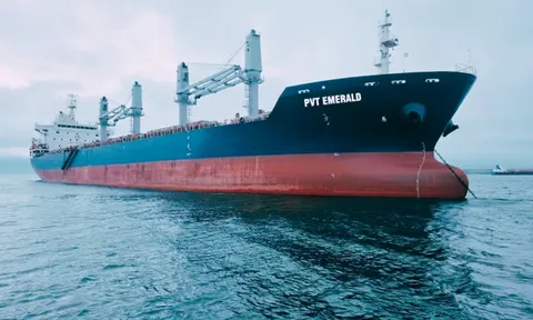 PVT Logistics (PDV) bị HoSE nhắc nhở vì chậm công bố thông tin, nợ ngắn hạn tăng gần 125 tỷ đồng sau nửa đầu năm