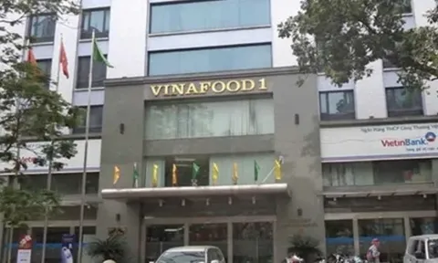 Vinafood 1: Lợi nhuận đi lùi, nợ phải trả vượt 10.000 tỷ đồng