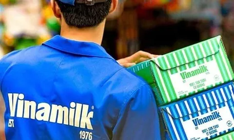 HOSE nhắc nhở công ty "sót” thông tin nhân sự HĐQT