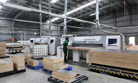 Cổ phiếu Gỗ Trường Thành vào diện cảnh báo