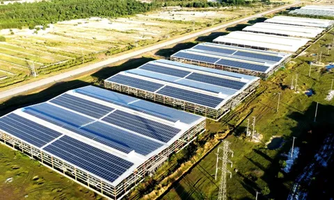Nhận diện chủ đầu tư hai dự án năng lượng gần 9.000 tỷ đồng ở Hà Tĩnh