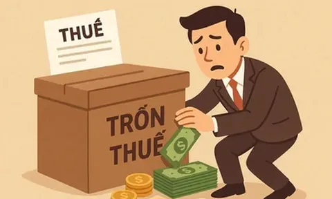 Mức xử phạt mới nhất về hành vi trốn thuế