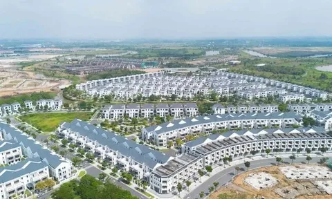 Nhóm công ty thuộc Novaland nợ thuế hơn 660 tỷ đồng