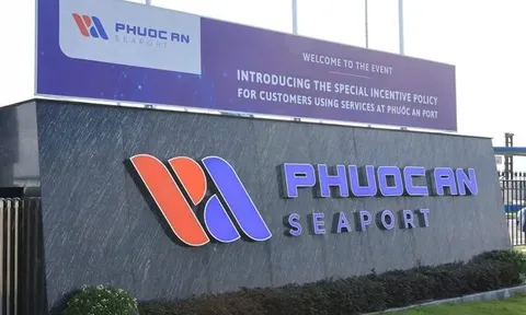 Cảng Phước An lên kế hoạch lỗ 5.431 tỷ đồng giai đoạn 2026 - 2030