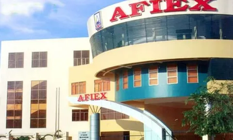 Afiex sắp phát hành thêm 10,5 triệu cổ phiếu AFX để trả cổ tức