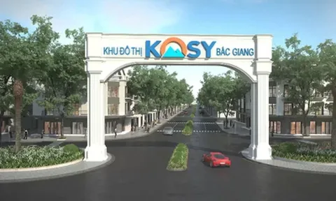 Kosy nợ trên 2.700 tỷ đồng, cổ phiếu giảm sàn 7 phiên liên tiếp