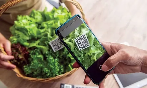 Áp dụng mã UID để truy xuất nguồn gốc sản phẩm, hàng hóa từ năm 2027