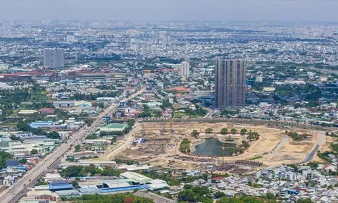 Công ty thành viên của TBS Group nợ thuế