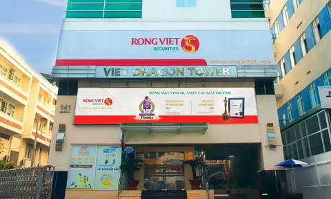 Rồng Việt (VDS) triển khai trả cổ tức 10% bằng cổ phiếu, chuẩn bị huy động 800 tỷ đồng trái phiếu