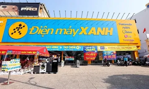 Điện Máy Xanh sắp huy động 100 tỷ đồng trái phiếu để trả nợ