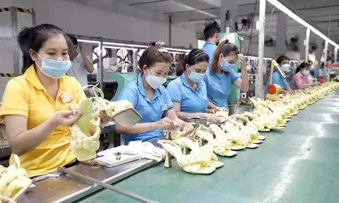Khu vực doanh nghiệp tư nhân nộp ngân sách gần 500 nghìn tỷ đồng trong 9 tháng