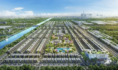 Tandoland vẫn lỗ lũy kế hơn 120 tỷ đồng