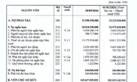 Halico lỗ lũy kế hơn 466 tỷ đồng