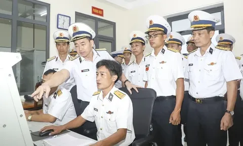 Hải quan sẽ khóa tài khoản khai báo của doanh nghiệp chưa làm sạch dữ liệu