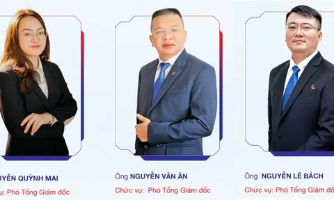 Đồng loạt miễn nhiệm, bổ nhiệm lãnh đạo chủ chốt doanh nghiệp "nhà" Đèo Cả