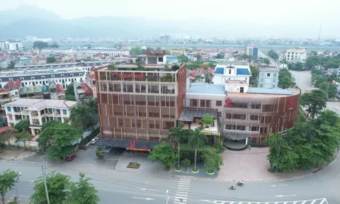 Những 'ông lớn' đứng sau Năng lượng Gia Lai đầu tư 2 nhà máy điện gió hơn 5.600 tỷ đồng