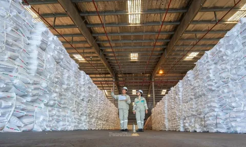 Quản trị minh bạch: Nền tảng bền vững trong hành trình ESG của PVFCCo – Phú Mỹ