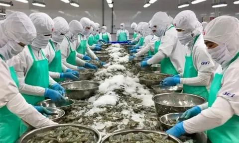 DN đầu tiên báo lỗ quý II/2026:: Doanh thu 176 triệu đồng, vốn chủ sở hữu âm 512 tỷ