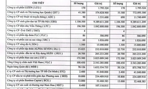 Lãi gộp tăng gấp 5 lần, CMC vẫn thua lỗ vì đầu tư lớn vào chứng khoán