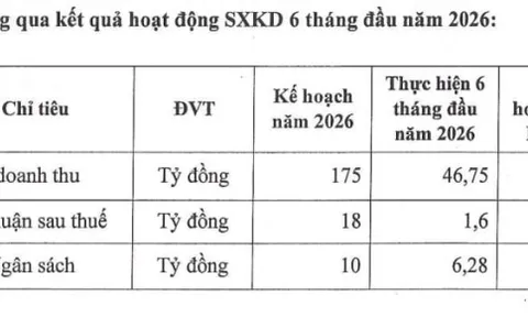 Licogi 14: Qua nửa đầu năm 2026 lợi nhuận chưa đạt 10% kế hoạch