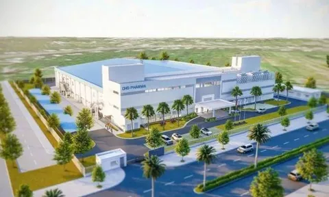 Doanh nghiệp ngành dược 'ăn nên làm ra' trong 6 tháng đầu năm 2026