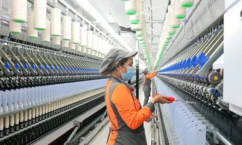 Buồn của Sợi Thế Kỷ: Kinh doanh thụt lùi, cổ phiếu thủng đáy 5 năm