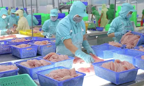 'Nữ hoàng' cá tra hụt hơi lợi nhuận, chưa thể 'cắt lỗ' cổ phiếu BĐS