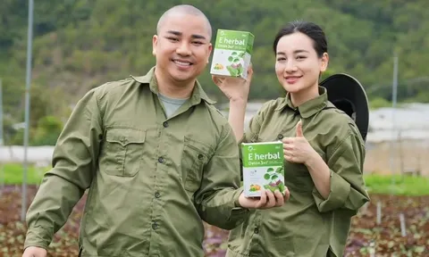Hé lộ quy mô doanh nghiệp đứng sau lô 76.000 hộp bột rau bị tiêu hủy