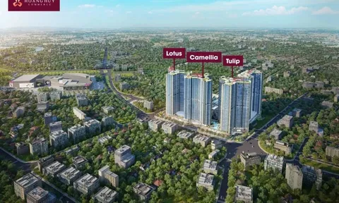 Vốn điều lệ tại Hoàng Huy Group sắp vượt mốc 10.000 tỷ đồng