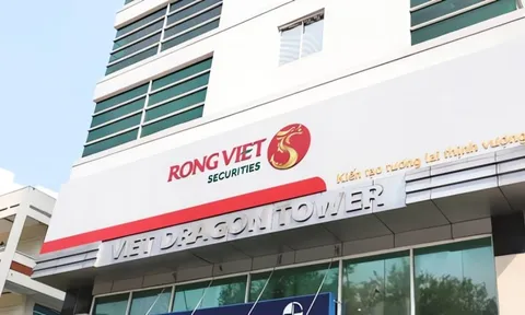 Cú nhảy tỷ lệ an toàn lên 690% của Rồng Việt và sự 'trở lại' của thương vụ Tân An Phước