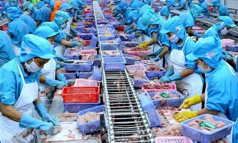 Hai chiều lợi nhuận DN thủy sản: Người hụt hơi, kẻ bứt tốc