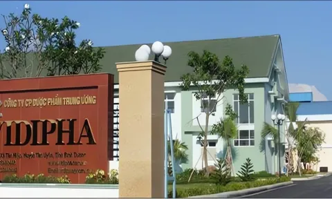 Lãnh đạo và người thân đồng loạt thoái vốn, 34% cổ phần Vidipha đổi chủ