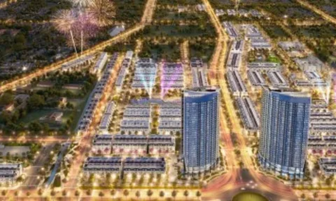 Dịch vụ Hoàng Huy (HHS) triển khai chào bán gần 260 triệu cổ phiếu, vốn điều lệ vượt 6.900 tỷ đồng