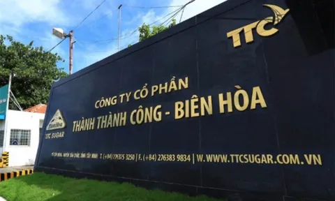 SBT vào đợt tái cơ cấu lớn: TTC Investment thoái sạch, bà Huỳnh Bích Ngọc bán gần hết