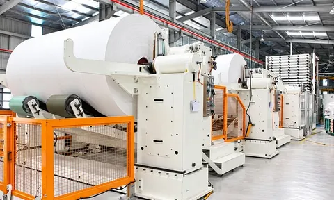 Lợi nhuận Hapaco bật tăng sau nửa đầu năm 2026, HAP tiếp tục có “chuyển động” đáng chú ý