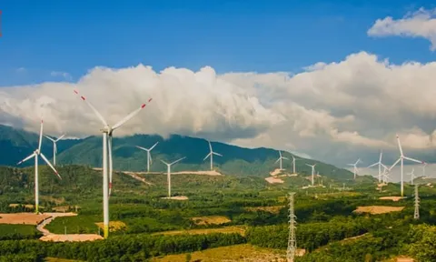 SCI E&C: Nợ vay tăng cao, doanh thu suy giảm