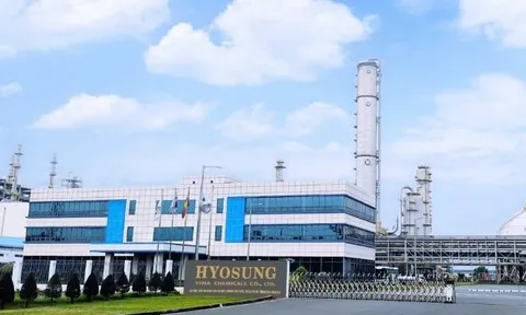 Hyosung Vina sau 8 năm vào Việt Nam: Lần đầu có lãi, vẫn lỗ lũy kế hơn 20.000 tỷ đồng