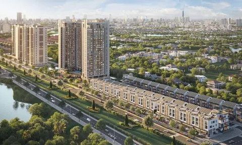 HD AMC bất ngờ báo lỗ khi 'sức khỏe' tài chính được cải thiện