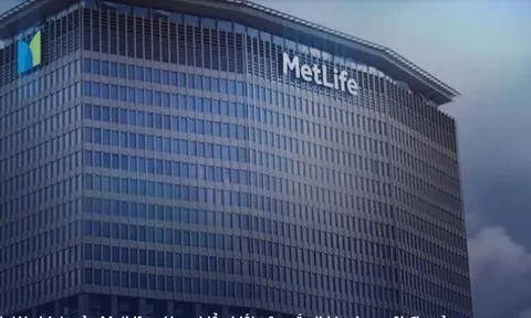 Bảo hiểm BIDV MetLife lãi lớn nhờ tiết giảm chi phí, mang hơn 2.400 tỷ đồng gửi ngắn hạn ngân hàng
