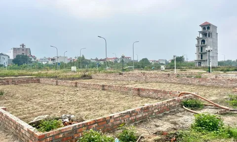 Giá đất Đông Anh neo cao, vượt 100 triệu đồng/m2