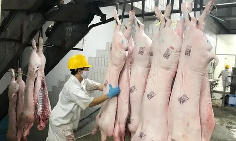 EU siết tên gọi sản phẩm thịt từ năm 2029, doanh nghiệp Việt cần làm gì?