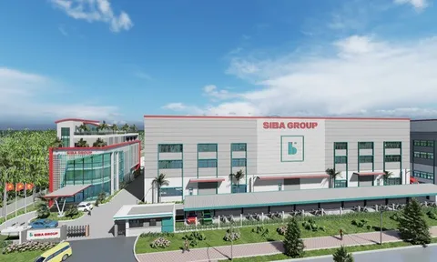 Siba Group phát hành 2 triệu cổ phiếu ESOP, loạt nhân sự cấp cao gia tăng sở hữu