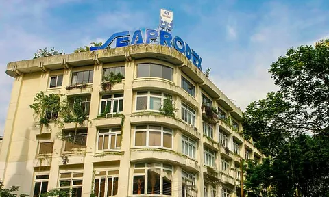 SCIC thoái vốn bất thành, Seaprodex cùng dự án BĐS tại 'khu đất vàng' khó nhằn cỡ nào?